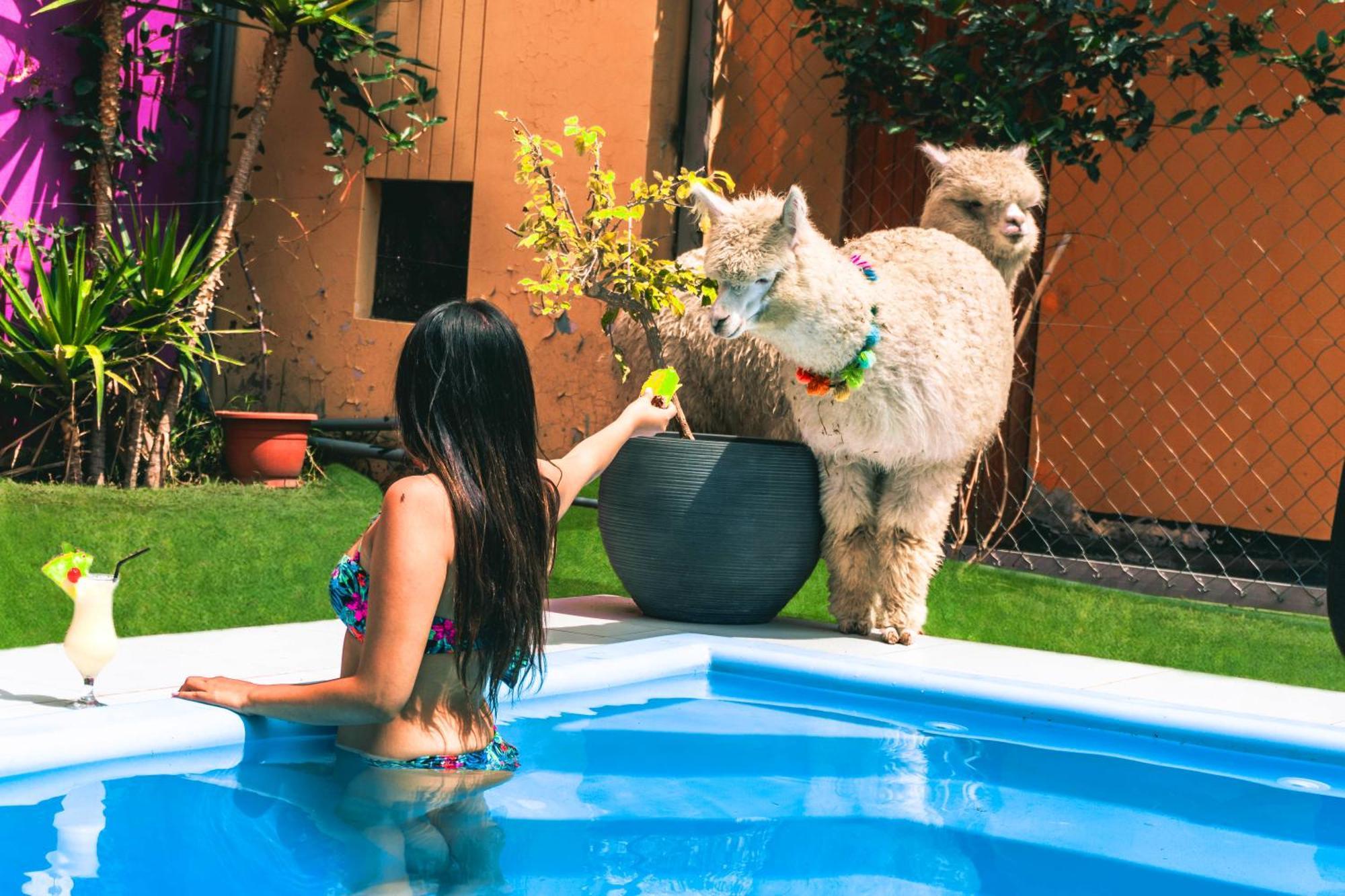Hotels Collect Adriana Monet Arequipa Exterior foto